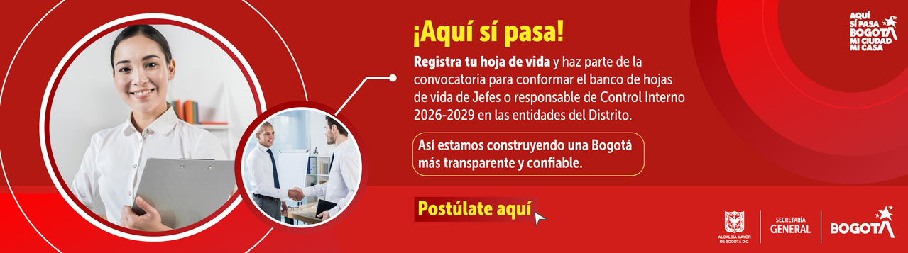 Jefes control interno 