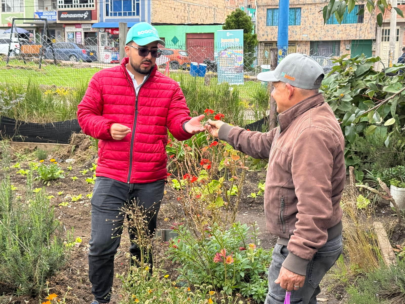 Habitando Territorios
