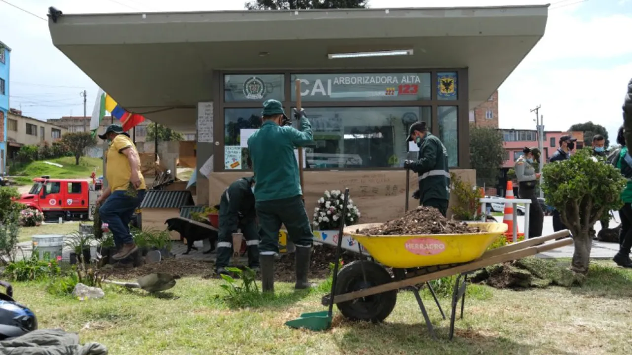 CAI Arborizado Alta