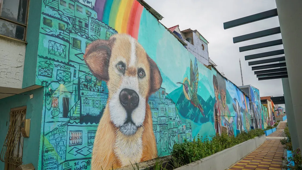 Muro 11