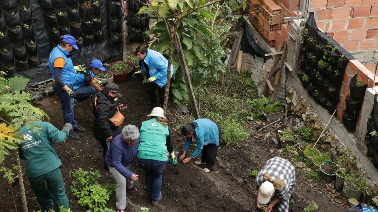 Jornada de voluntariado embelleció espacios para los adultos mayores de Cerro Norte