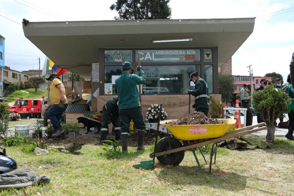 CAI Arborizado Alta