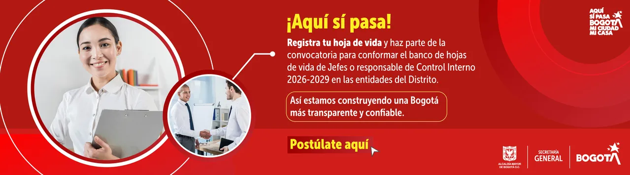 Jefes control interno 