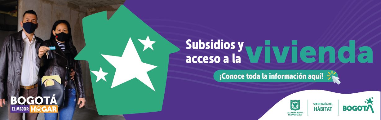 Subsidio y acceso a la vivienda